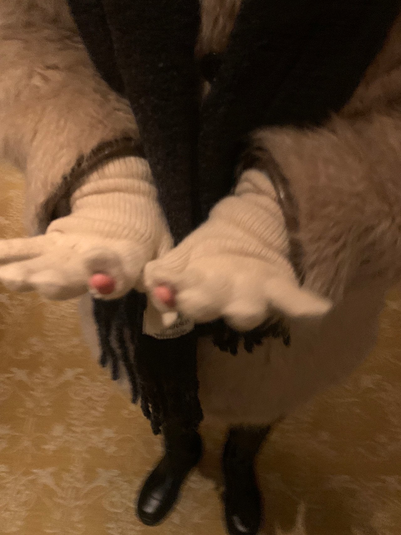 Sale sora即納 line Gloves-5col