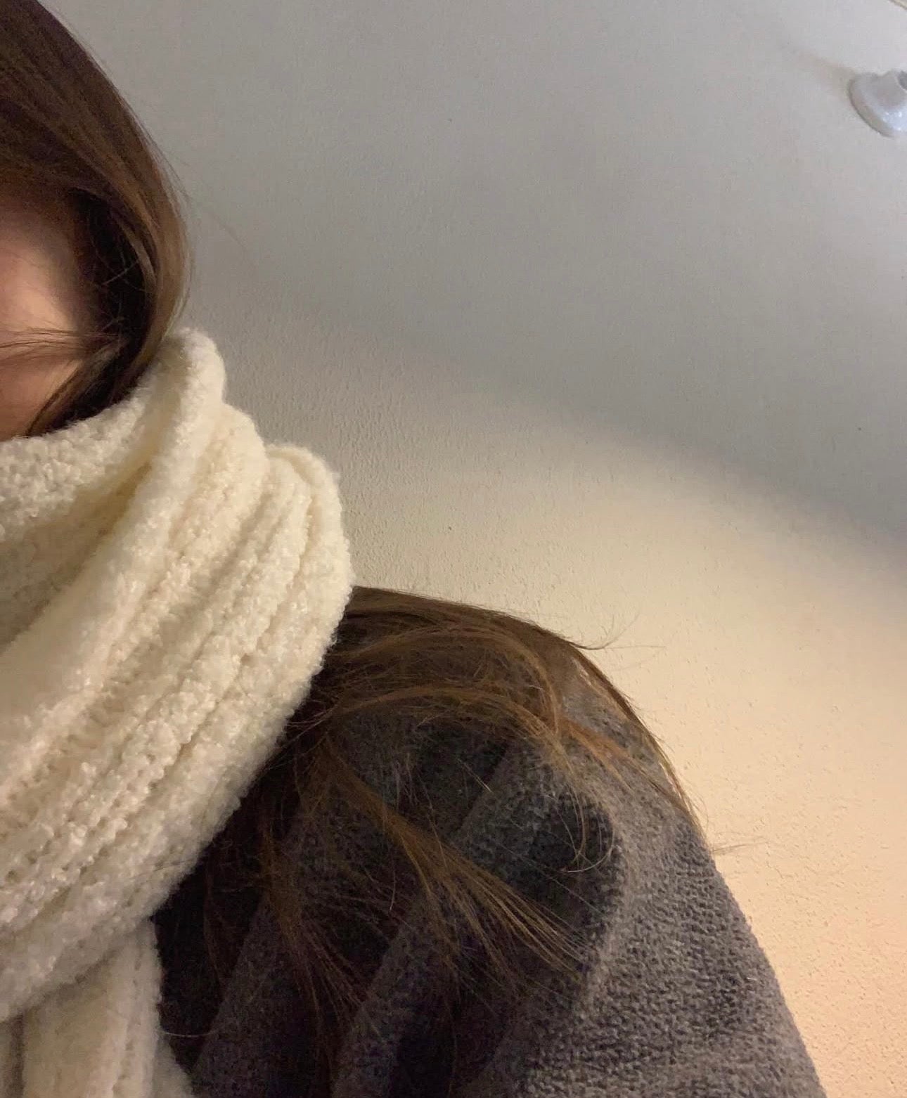 liter snow fleece high neck MTM-3col