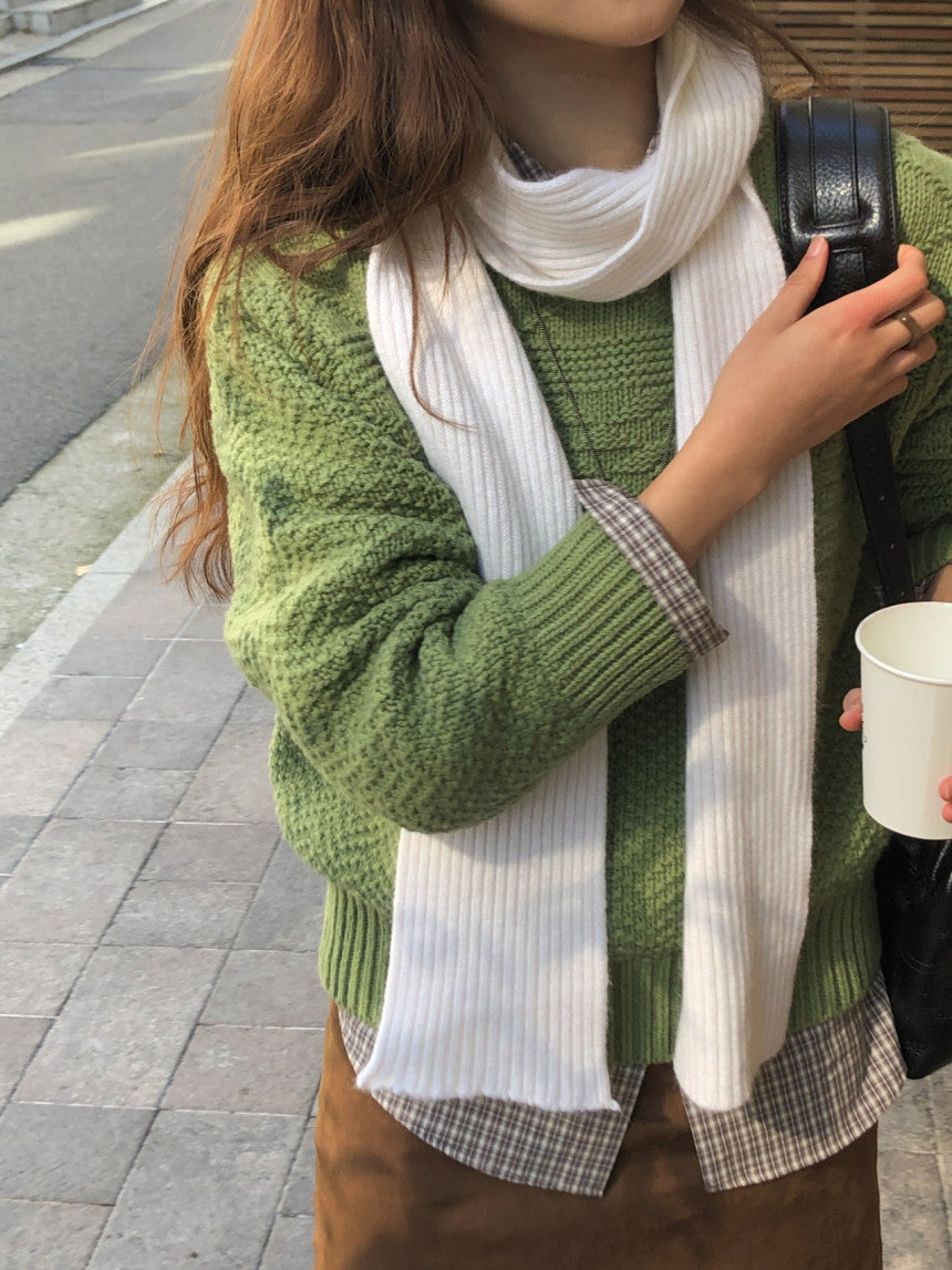 Bern raccoon rib muffler-5col