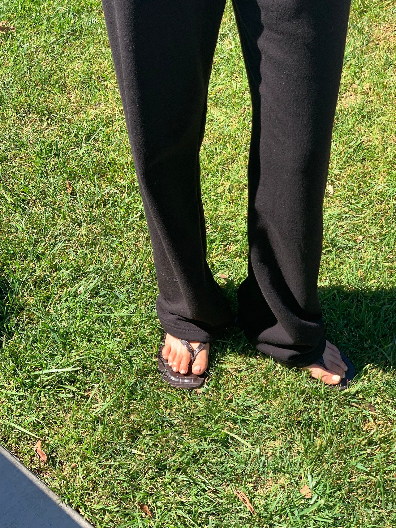 Melville training pants-4col