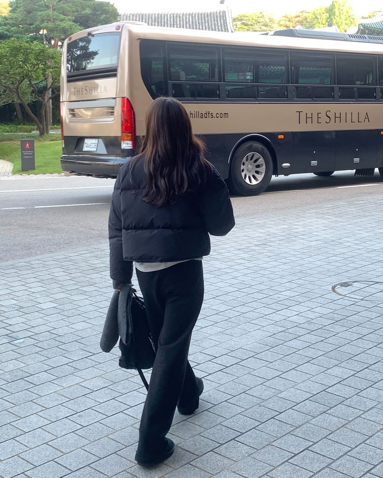 Carol goosedown short padding-2col