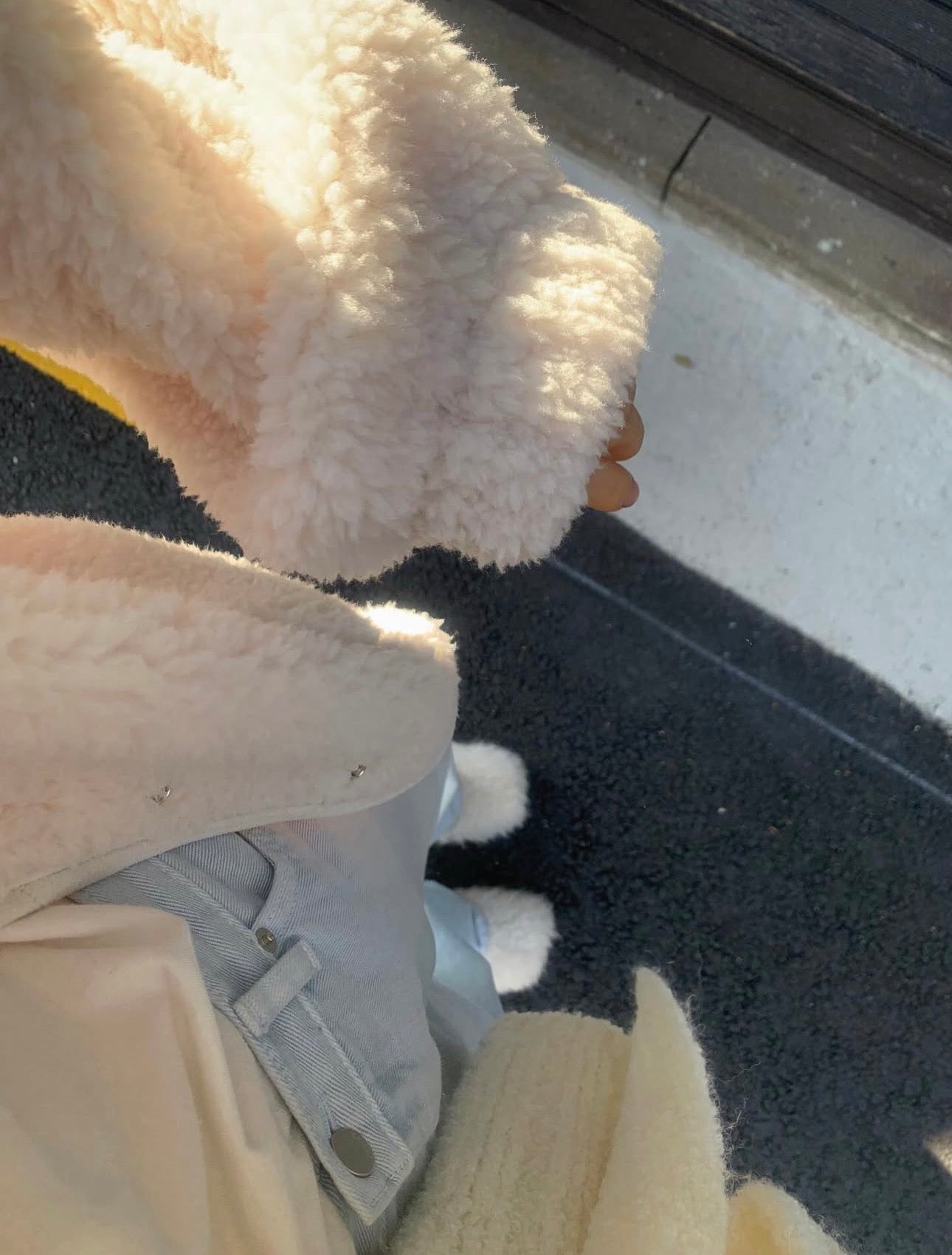 liter teddy searing fleece jumper-2col