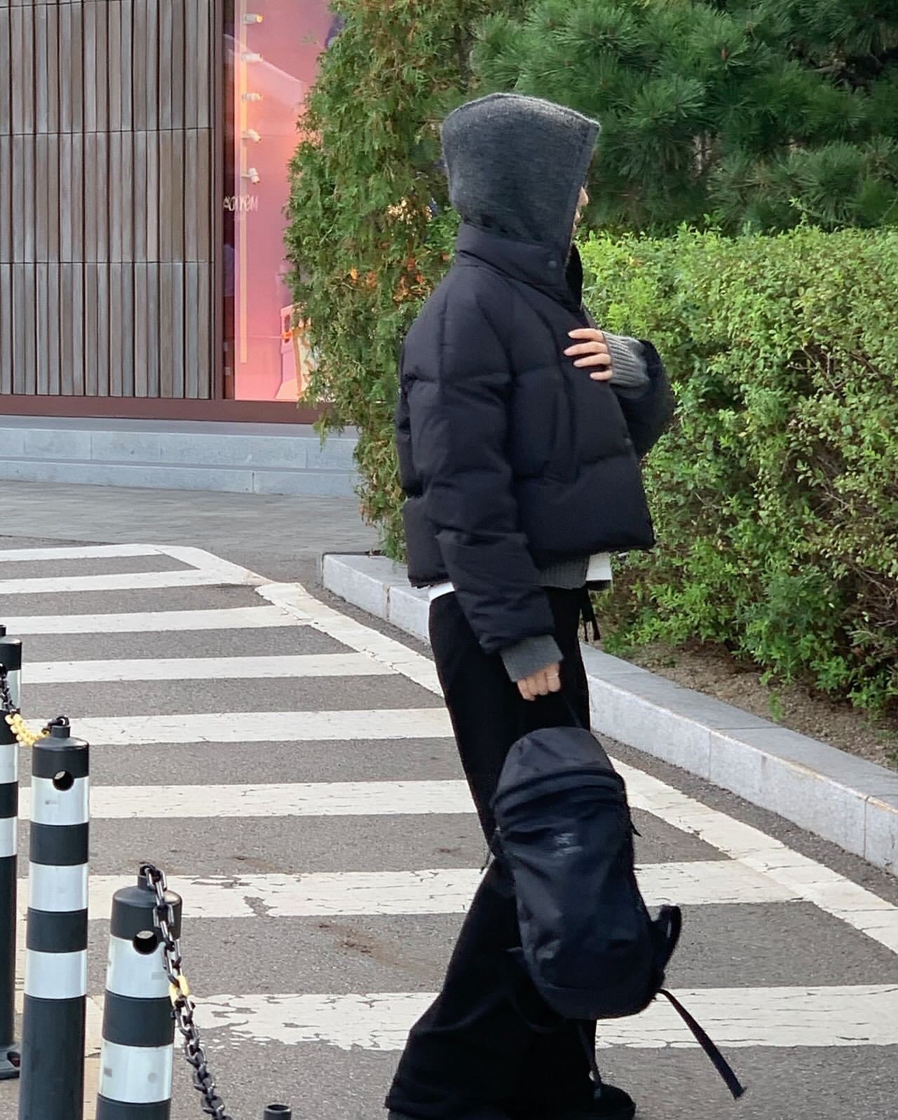 Carol goosedown short padding-2col