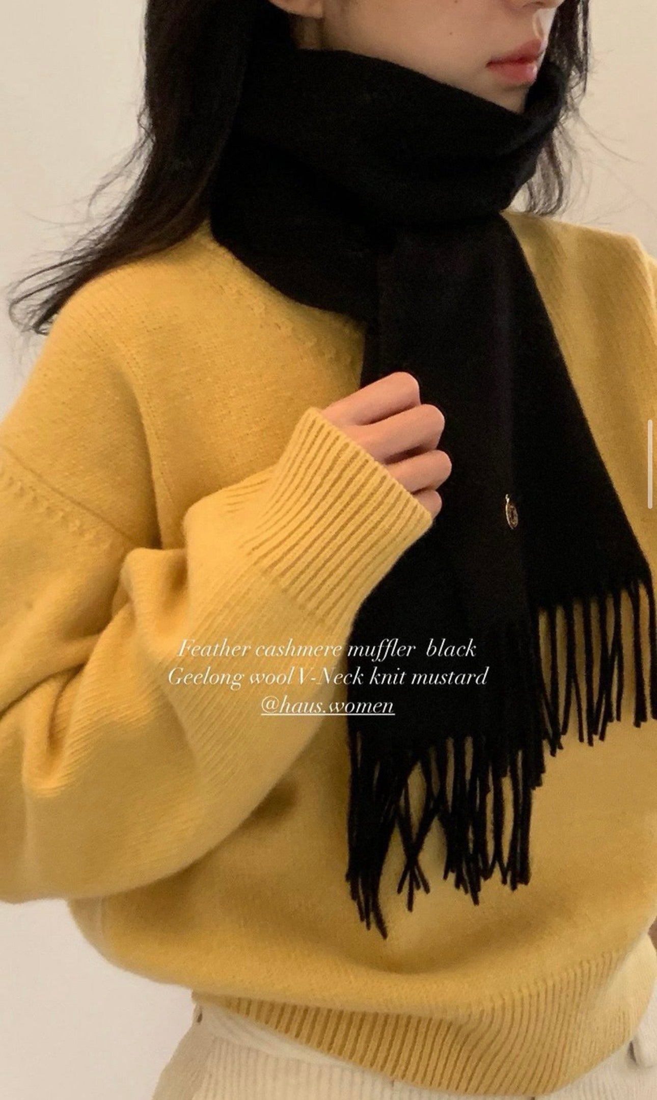 Haus geelong wool v-neck knit-4col