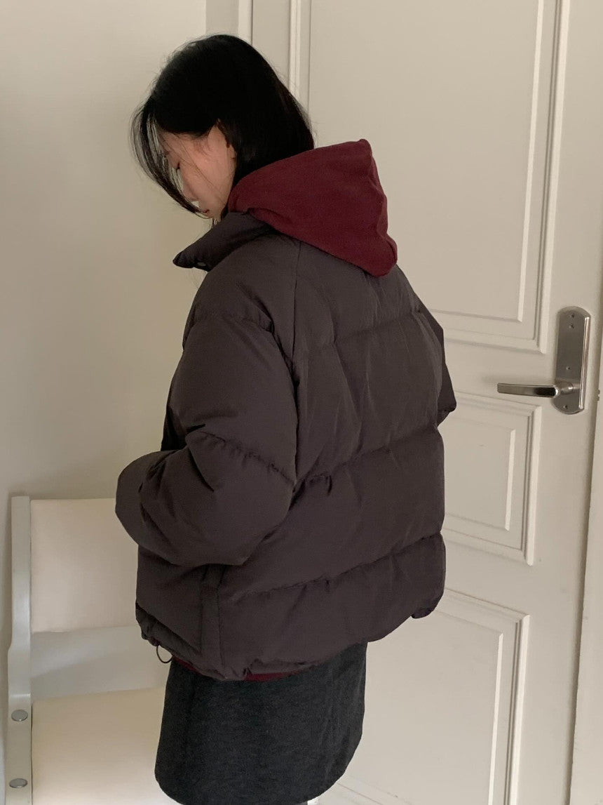 Amur hood zip up-4col