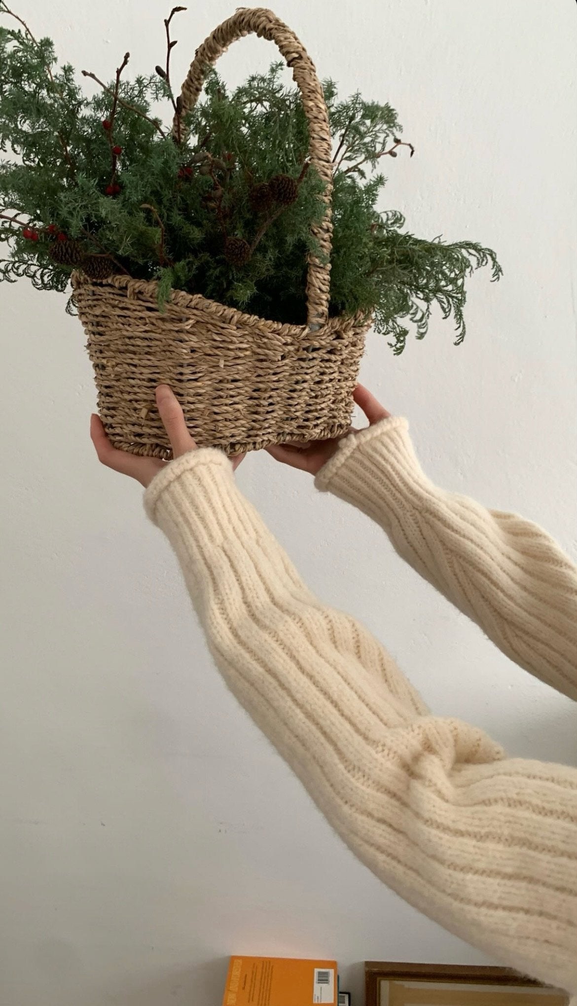 deondo fine hair zip up-3col